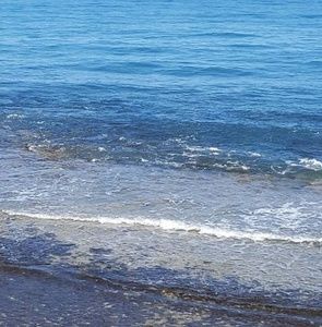 Meet your Posher, Allyson